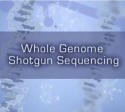 全长鸟枪法测定全基因组序列（美国HHMI）