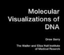 DNA的分子可视化视频