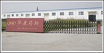 连翘提取物