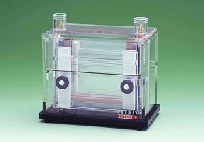 AE-6500垂直电泳槽