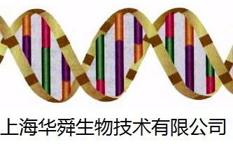 柱式微量gDNA抽提试剂盒