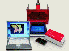  新型调制叶绿素荧光成像系统IMAGING-PAM（调制叶绿素荧光仪）