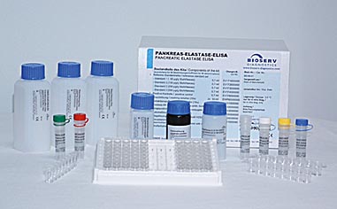 胰弹性蛋白酶检测试剂盒（酶联免疫法）
