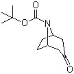 N-叔丁氧羰基-去甲托品酮