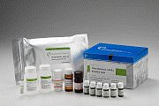 呋喃唑酮代谢物酶联免疫检验试剂盒