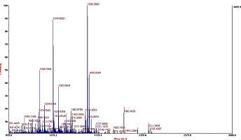 肽质量指纹图谱分析