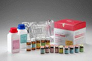 血清用磺胺二甲嘧啶(SM2)/磺胺二甲氧嘧啶(SDM)酶联免疫定量检测试剂盒