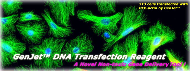 GenJet™ 体外DNA转染试剂（免费试用）