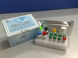 晚期糖基化终末产物（AGEs)检测试剂盒（酶联免疫法）