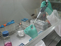 药物对细胞凋亡的影响