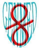 pBADCE4.1＋目的基因