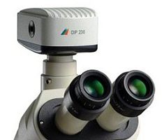 丹麦Deltapix数码CCD DP200