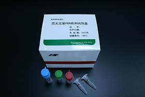  禽流感H5亚型  实时荧光PCR检测试剂盒