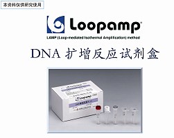 LAMP法DNA反应试剂盒（Loopamp DNA Amplification Kit）