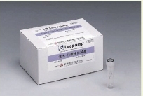 LAMP法荧光检测试剂盒（Fluorescence Detection Reagent）