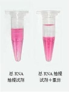 总RNA抽提试剂（国产TRIzol）