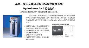 Hydroshear DNA片断化仪