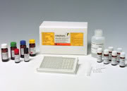  氨检测试剂盒