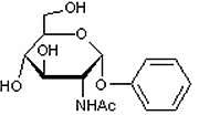 10139-04-5 Phenyl 2-acetamido-2-deoxy-a-D-glucopyranoside苯基-2-乙酰氨基-2-脱氧-a-D-葡萄糖苷