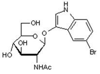 58225-98-2 5-Bromo-3-indolyl-2-acetamido-2-deoxy-b-D-glucopyranoside