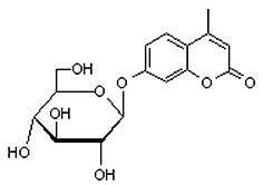 18997-57-4 4-Methylumbelliferyl b-D-glucopyranoside4-甲基伞形酮-beta-D-葡萄糖苷