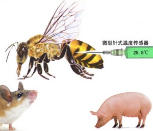 微型针式温度传感器