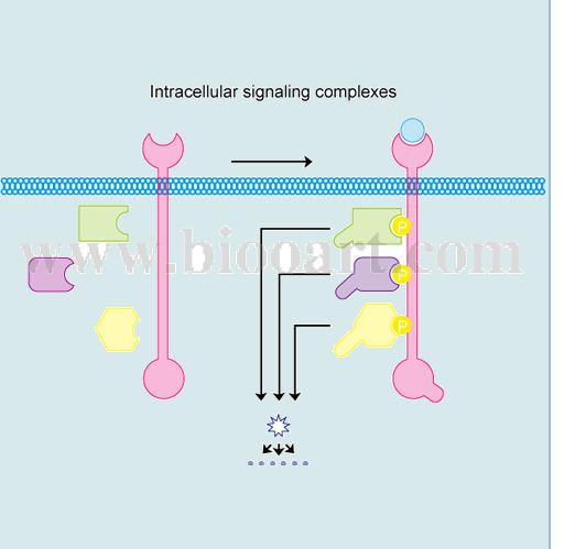 生物科技图像元素