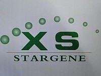 载体构建及全基因合成