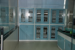 试剂柜，广州试剂柜，实验室家具