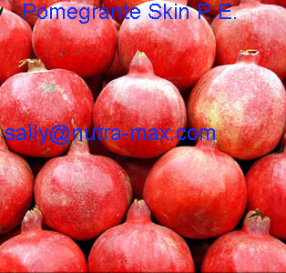 Pomegranate Seed Oil (sally@nutra-max.com)
