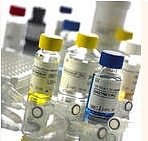 细胞因子、内分泌、肝纤维素检测ELISA试剂盒  低价批发