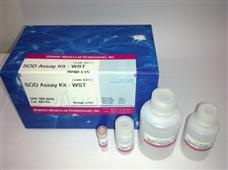 超氧化物歧化酶(SOD)检测试剂盒-WST