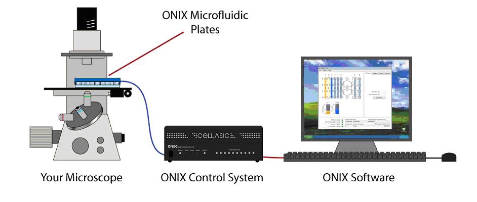 ONIX微流体全自动细胞培养-检测系统