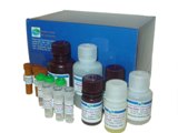 精氨酸酶测试盒（美国进口）