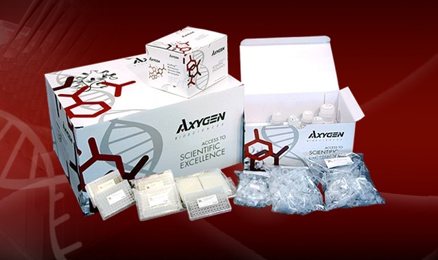 Axygen 血基因组小量制备试剂盒