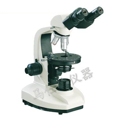 简易偏光显微镜