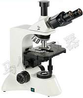 生物观察显微镜