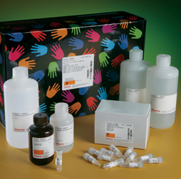 LightShift® Chemiluminescent EMSA Kit