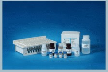 组胺 ELISA 检测试剂盒