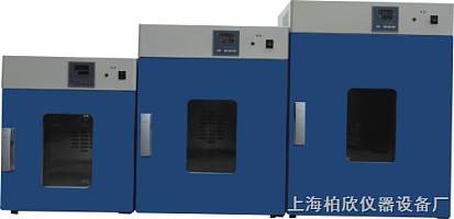 300度立式鼓风干燥箱/烘干箱DHG-9145A