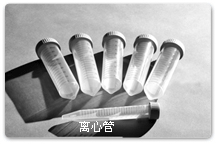 离心管