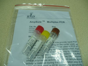 AmpSure TM  Multiplex PCR