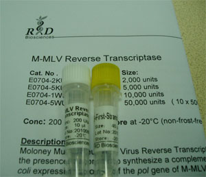 AmpSure TM  M-MLV Reverse Transcriptase