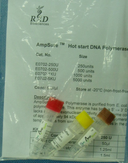 AmpSure TM   Hot start DNA Polymerase, recombinant