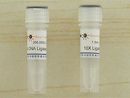 T4 DNA Ligase
