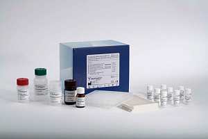 代理经销各类进口原装、进口分装、国产全系列品牌酶联免疫检测试剂盒