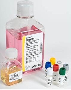 lonza公司的EGM-2培养基cc-3162；cc-3202