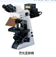 苏州供应日本原装尼康E200双目三目常规显微镜
