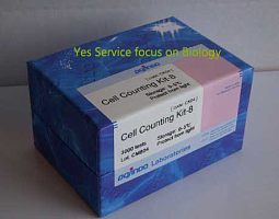 Cell Counting Kit-8（CCK-8试剂盒或称WST-8法试剂盒）
