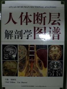 正版包邮！人体断层解剖学图谱 刘树伟 山东科技出版社